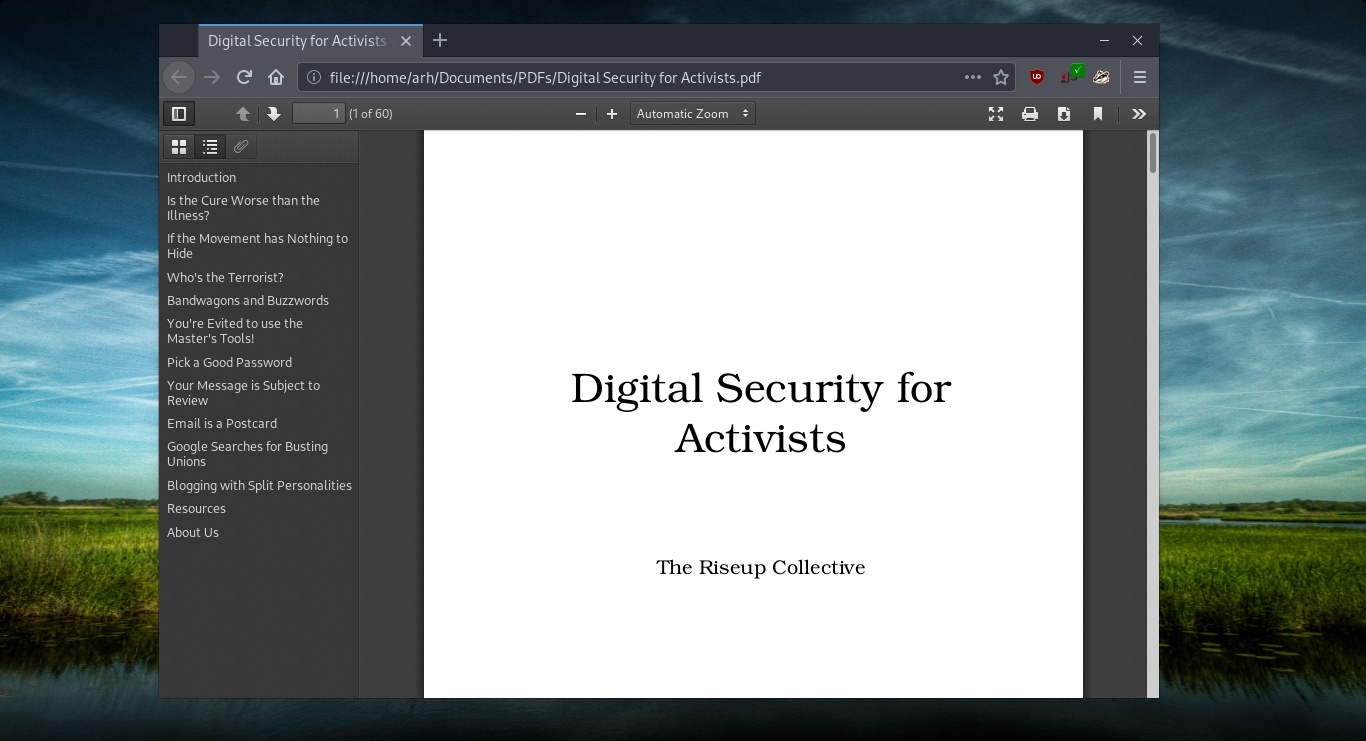 PDF document opened in GNU IceCat