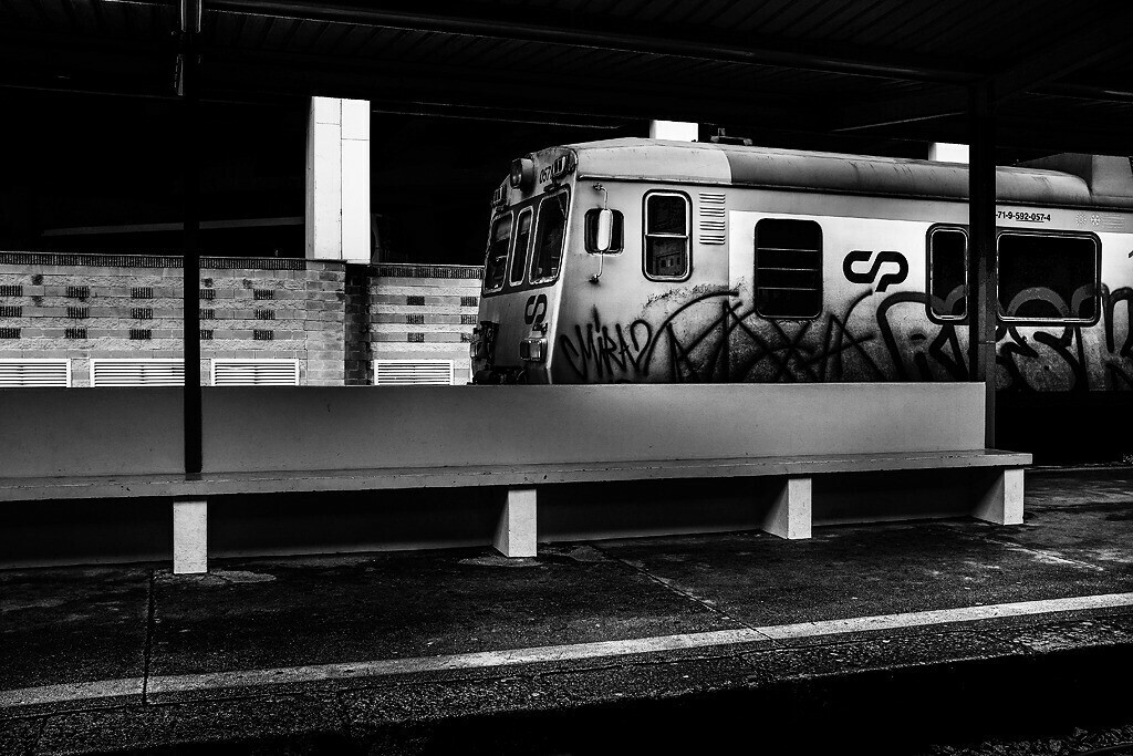 Last train home by Paulo Pinto