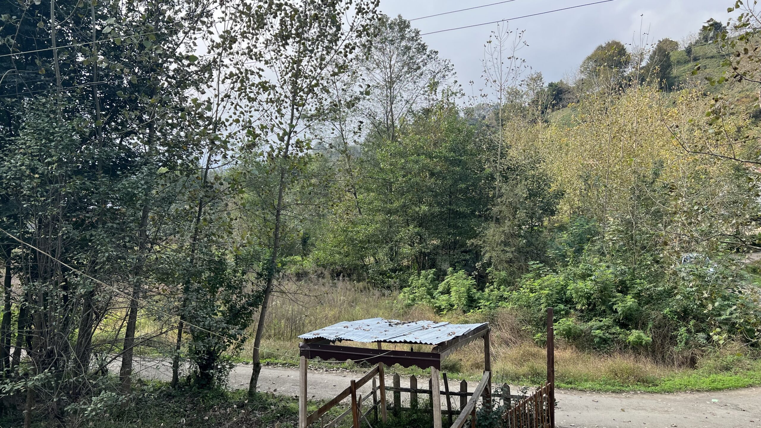Lahijan, Gilan — Countryside: A rural scene in Lahijan, Gilan Province, showing a small tin-roofed shelter beside a dirt road surrounded by lush trees and distant hills.